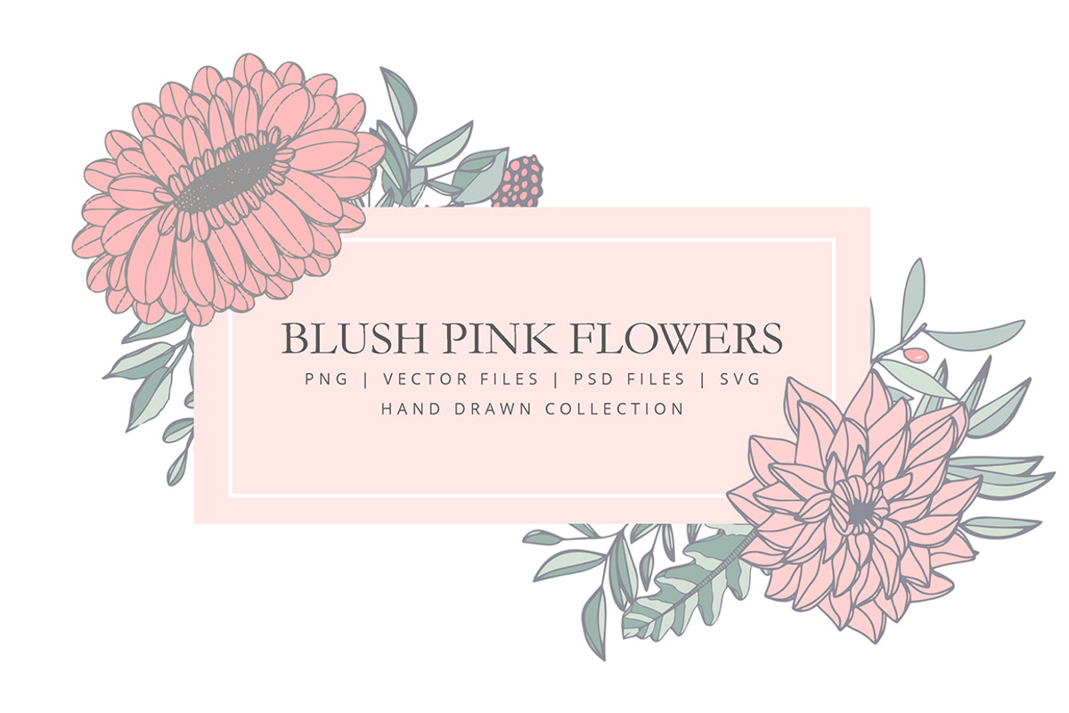 Clip art with blush pink flowers, a Graphic by AS Studio (Photo 3 of 5)
