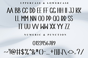 Simple Elegant, a Script Font by FreshTypeINK (Thumbnail 5 of 8)