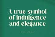 The Bencoy Modern Serif Display, a Serif Font by timelesstype.co (Thumbnail 15 of 20)