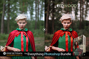 Pro Photoshop Actions Bundle, an Action Add-On by Presetrain Co. (Thumbnail 12 of 13)