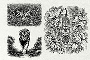 Jungle Tiger SVG Graphics, an Animal Illustration by DENIDigitalArtSudio (Thumbnail 7 of 8)