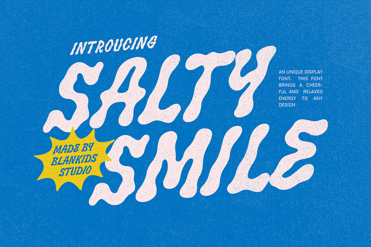 Salty Smile an Unique Display Font, a Handwritten Font by Blankids Studio (Photo 1 of 10)