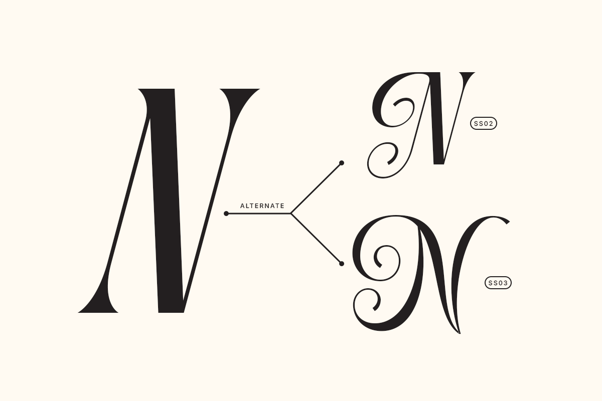 Dh Nottera Elegance - 7 Fashion Font, a Serif Font by Dharmas Foundry (Photo 14 of 17)