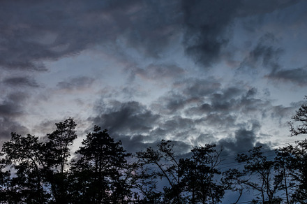 evening landscape silhouette of trees and stormy low sky, a Nature Photo by TanaCh