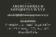 Angfia Relaftio Modern Serif Font, a Script Font by Letterena Studios (Thumbnail 13 of 15)