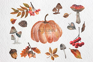 Autumn Watercolor Set, a Decorative Illustration by alexdndz