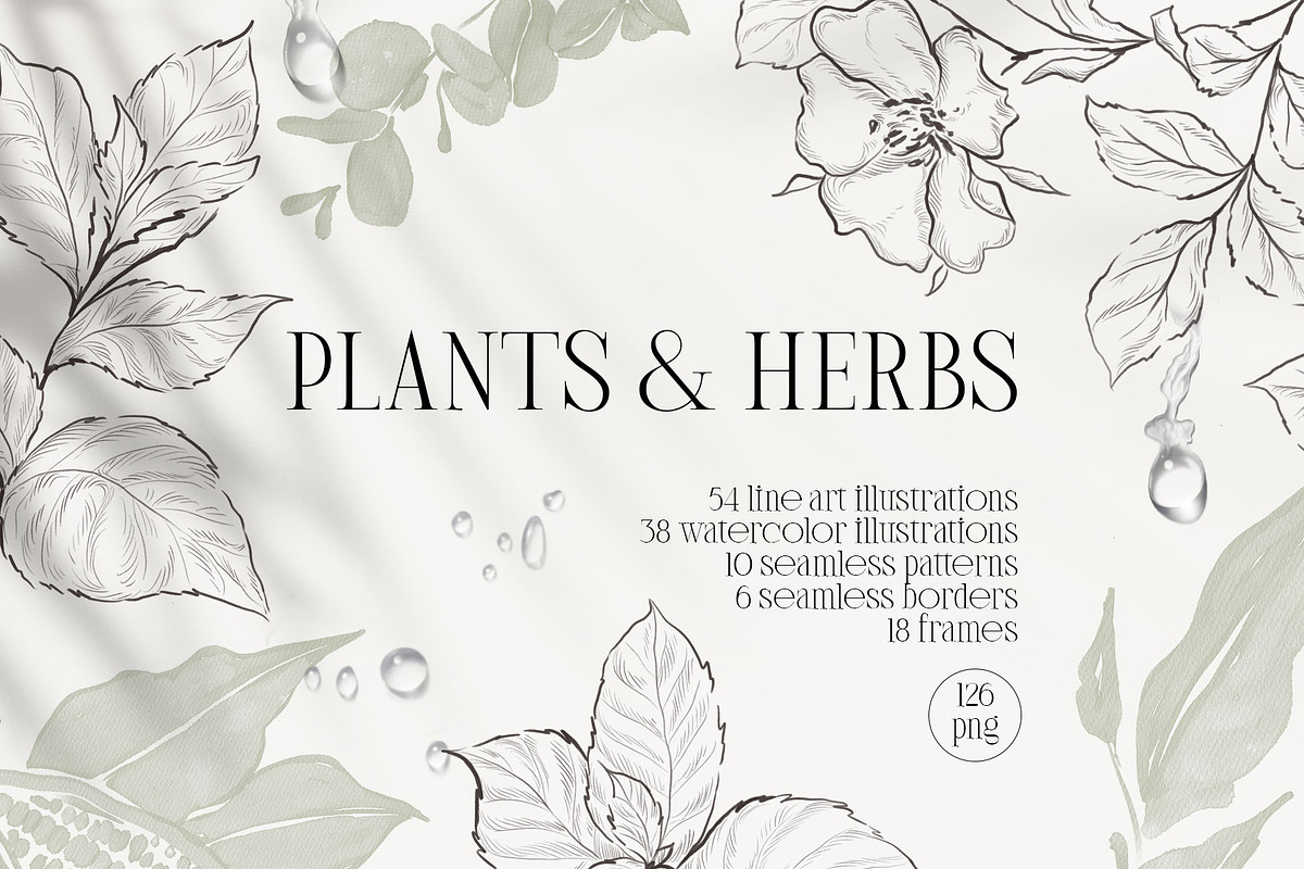 PLANTS & HERBS illustrations set, a Healthcare Illustration by Yuliia Lashevska (Photo 1 of 14)