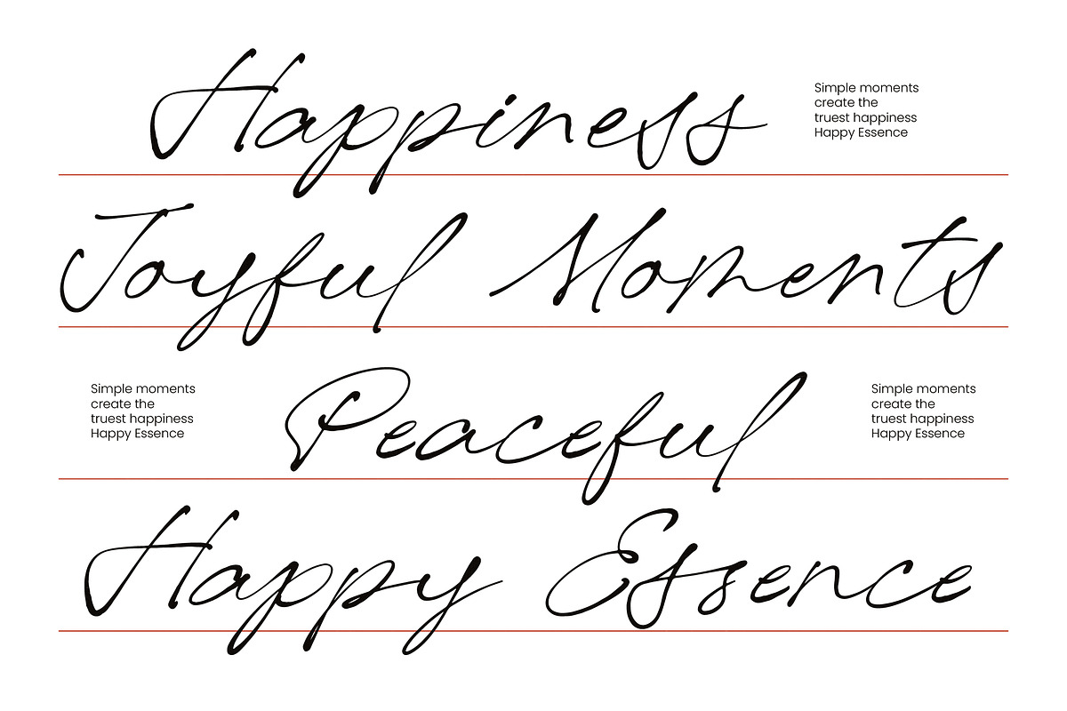 De Rough Belmonty Modern Rough, a Script Font by Letterena Studios Script (Photo 4 of 15)