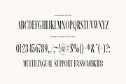 Hainnan Elegant Ligature Serif Font, a Serif Font by Graphicxell (Thumbnail 6 of 7)