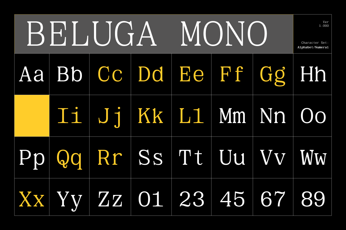 GC Beluga Mono - Elegant Modern Mono, a Serif Font by Glyphonic (Photo 2 of 15)