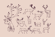 Deer sketch set, an Animal Illustration by Good Studio (Thumbnail 2 of 5)