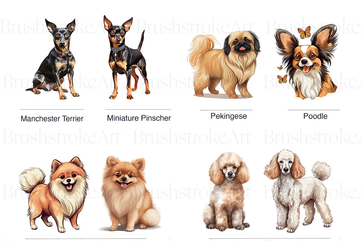 Toy Group Dogs Illustrations Clipart, an Animal Illustration by BrushstrokeArtGB (Photo 4 of 9)