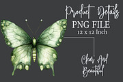 Magic Butterflies Clipart Bundle, an Illustration by Rose Art (Thumbnail 7 of 8)