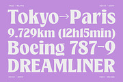 TNSC Means - Heavy Serif, a Serif Font by The Native Saint Club (Thumbnail 7 of 12)