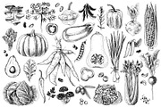Ultimate vegetables set, a Food Illustration by handsketched (Thumbnail 11 of 19)