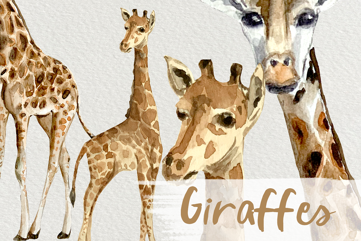 Watercolor Giraffes Clip Art Set, an Animal Illustration by Tati Bordiu (Photo 2 of 4)