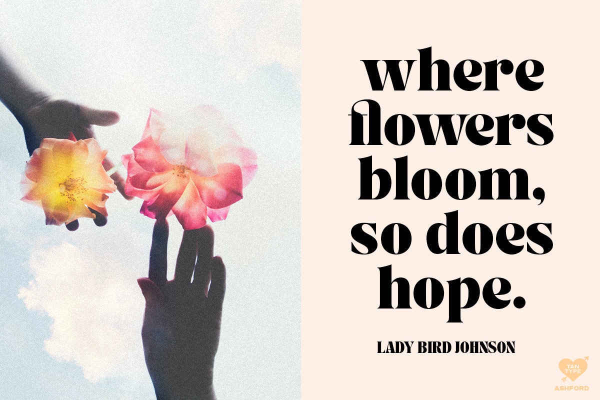 Tan Ashford Font Free Downloadv - UIFreebies