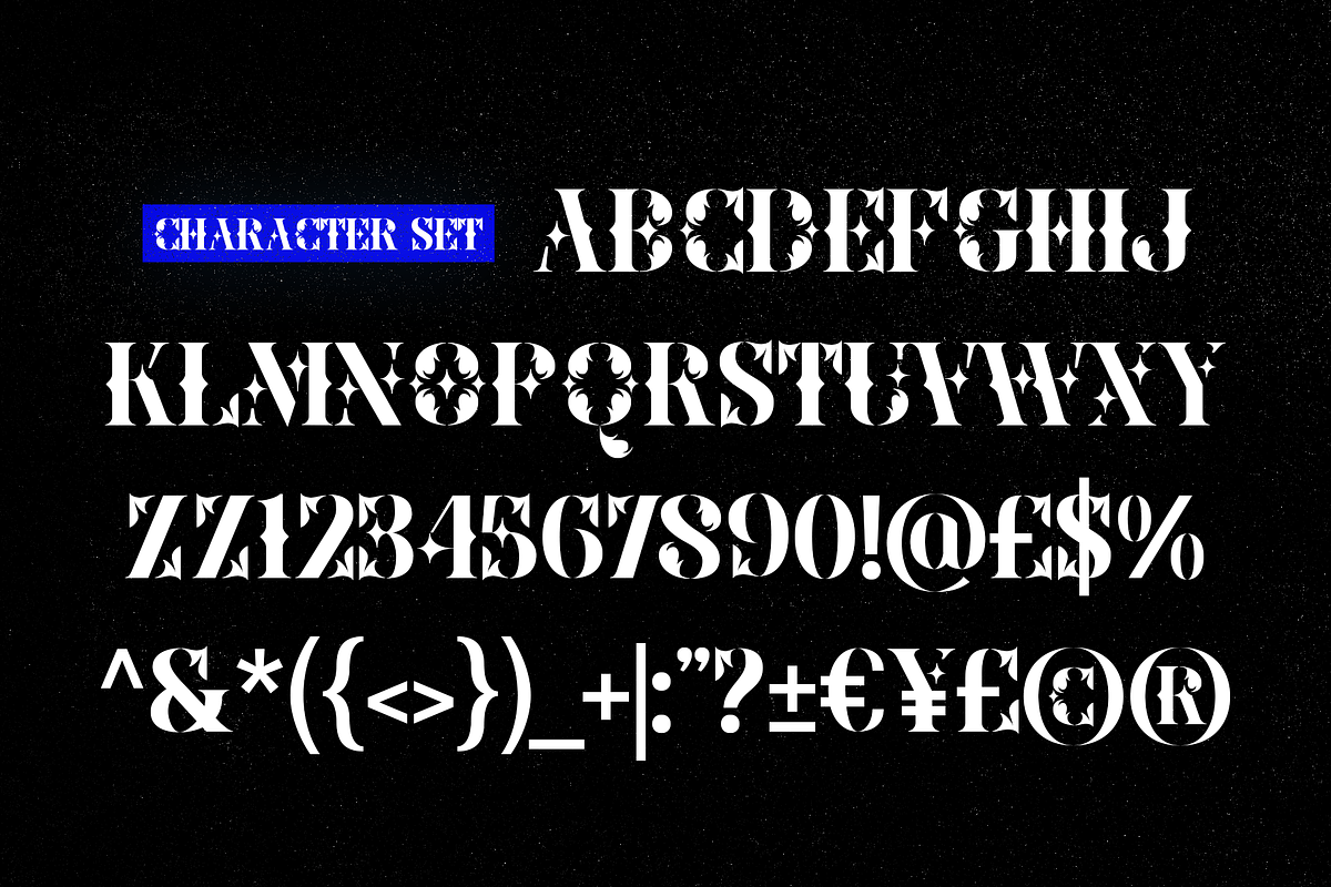 Sparke - Floral Futuristic Serif, a Serif Font by Drizy (Photo 3 of 8)