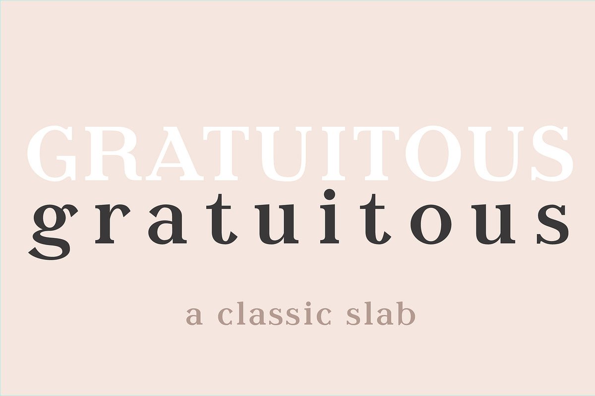 Gratuitous - A Classic Slab Serif, a Slab Serif Font by Anya-D (Photo 14 of 14)