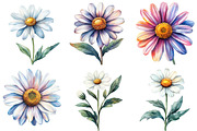 Watercolor Spring Daisy Flower Clipa, an Illustration by DreamPrint404 (Thumbnail 7 of 7)