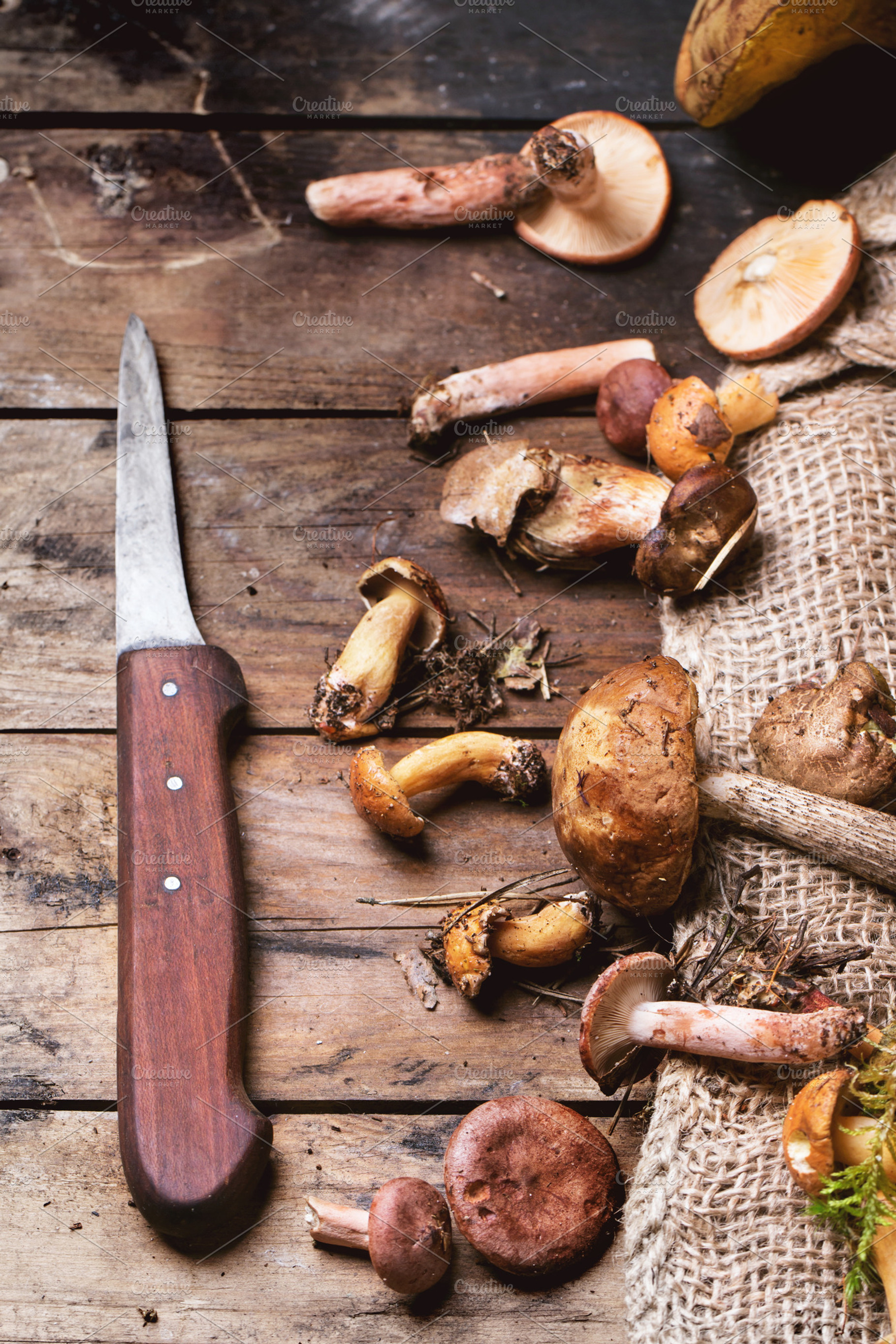 Mix of forest mushrooms featuring mushrooms, mushroom, and forest