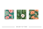 Cactus Flower Retro Art Designs, a Pattern Graphic by karenfoleyphoto (Thumbnail 18 of 18)