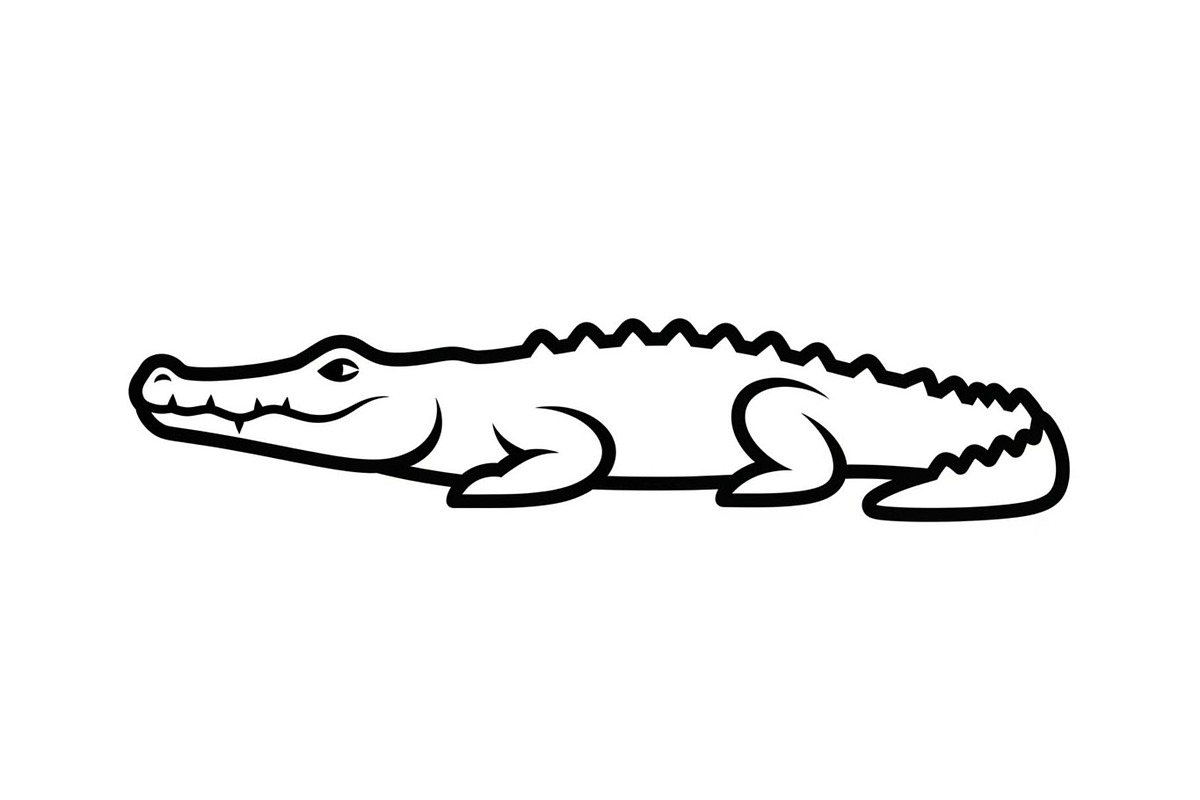 Crocodile Alligator Vector Bundle, an Illustration by jahid234 (Photo 2 of 51)