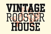 Gumbolt - Vintage Athletic Style, a Slab Serif Font by Arterfak Project (Thumbnail 2 of 13)