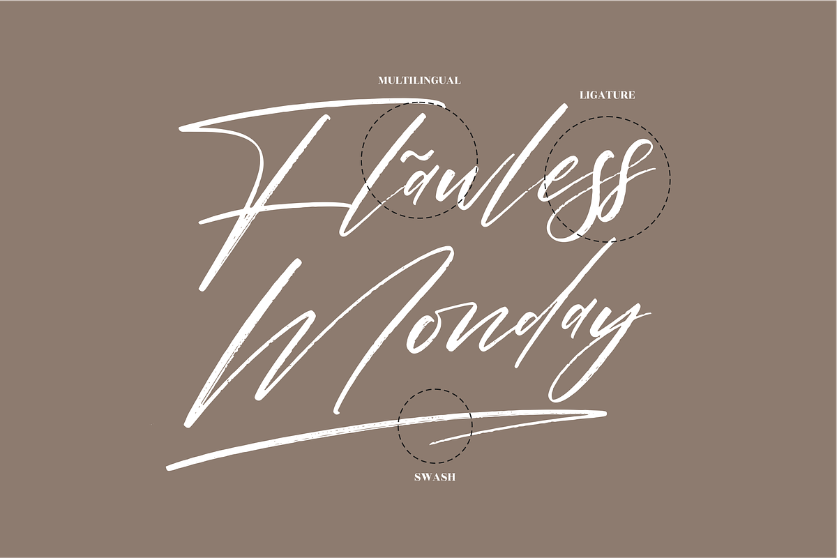 Pantherdam Signature Signature Brush, a Script Font by Letterena Studios Script (Photo 12 of 15)