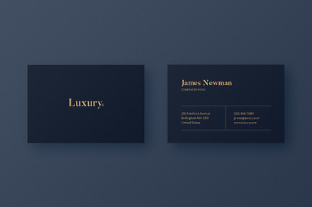 Luxury Business Card L1