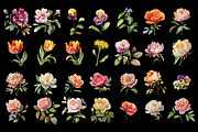 100 Floral Watercolor Illustrations, an Object Graphic by Nocturnal Wolf (Thumbnail 9 of 13)