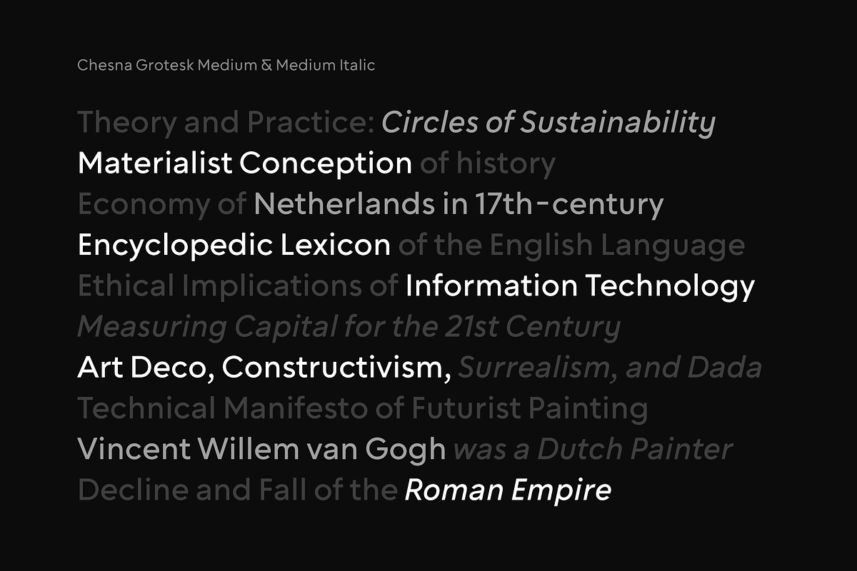 Chesna Grotesk, a Sans Serif Font by Horizon Type Foundry (Photo 10 of 19)