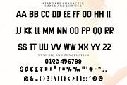 Give Up, a Script Font by FreshTypeINK (Thumbnail 5 of 8)