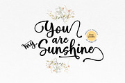 Hello Spring Script Font, a Script Font by moriztype (Thumbnail 2 of 10)