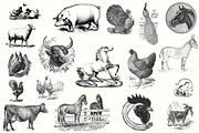 Electrotype Stock Cuts, an Animal Illustration by Blue Line Design (Thumbnail 3 of 19)