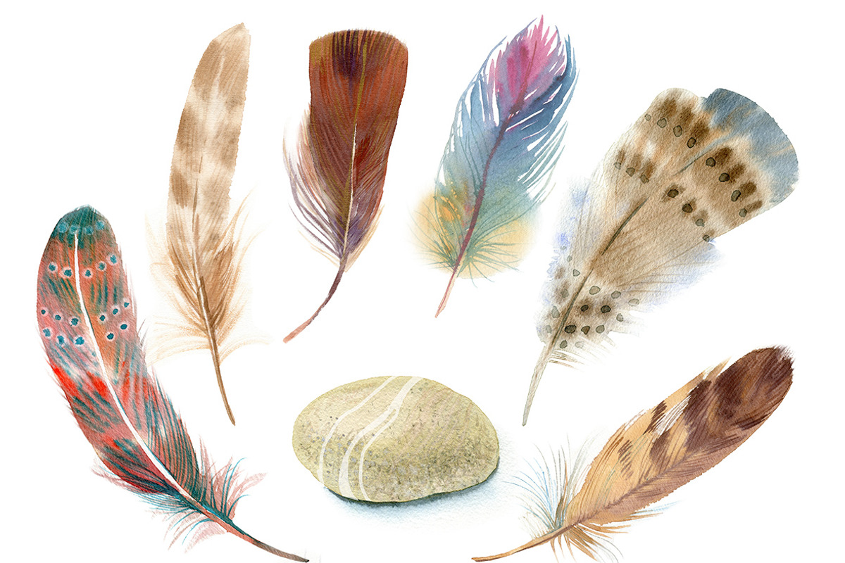 Watercolor vibrant feathers, a Background Graphic by Natasha Koltsova (Photo 2 of 2)