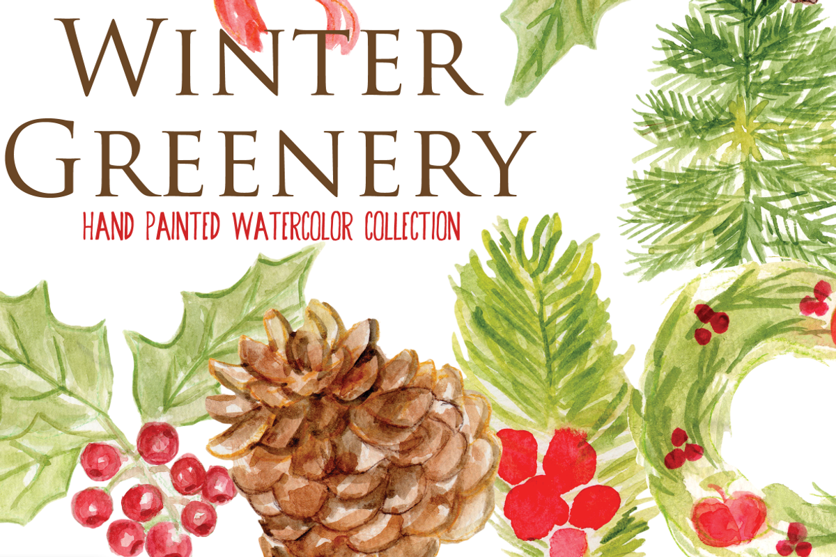 Watercolor Winter Foliage Christmas, an Illustration by Sandra Jones Art (Photo 4 of 4)