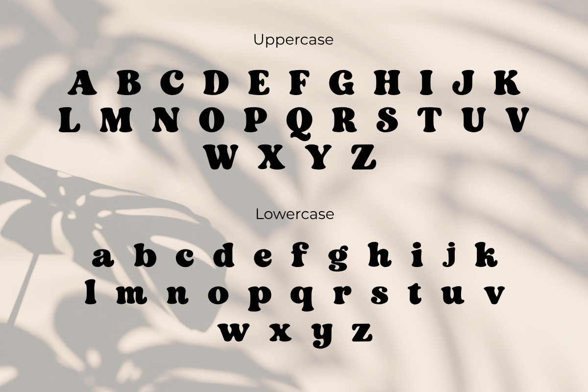 Groovy Bloom – Bold Retro Groovy, a Serif Font by AN Productions (Photo 3 of 4)
