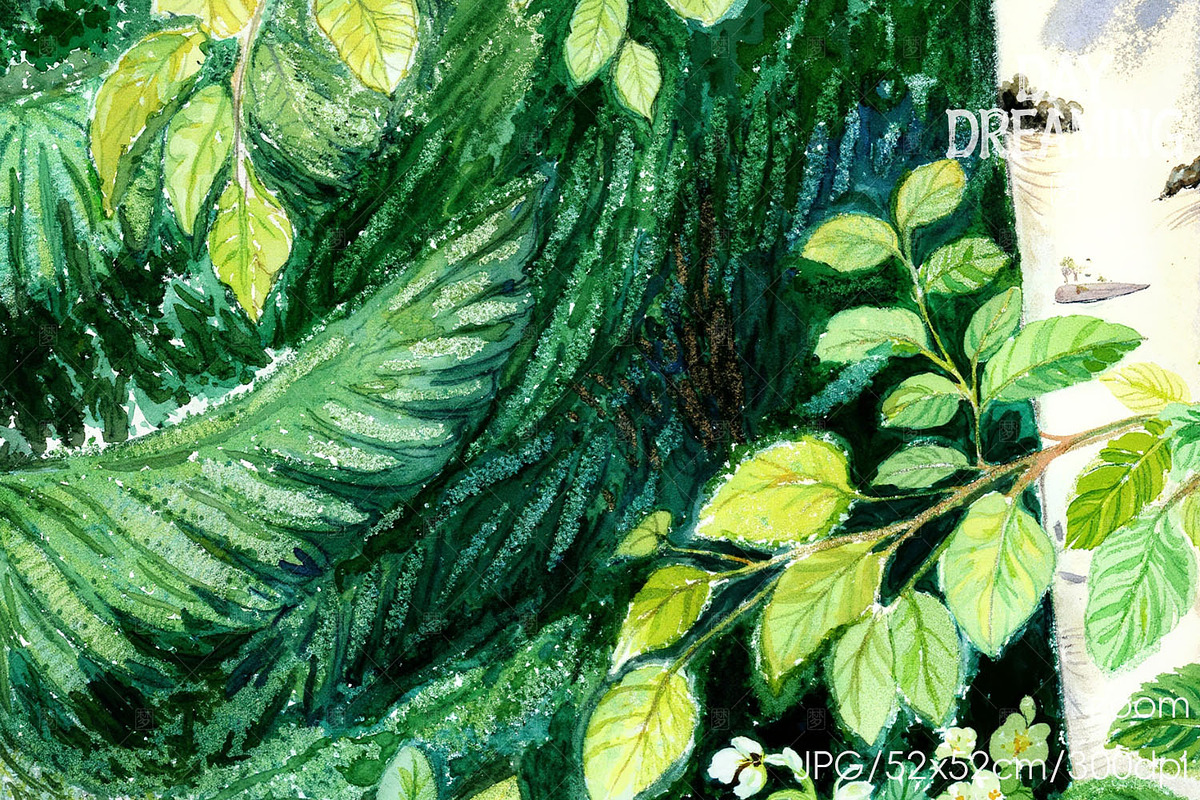 Fresh Birch Forest, an Object Illustration by yahu88studio (Photo 2 of 3)