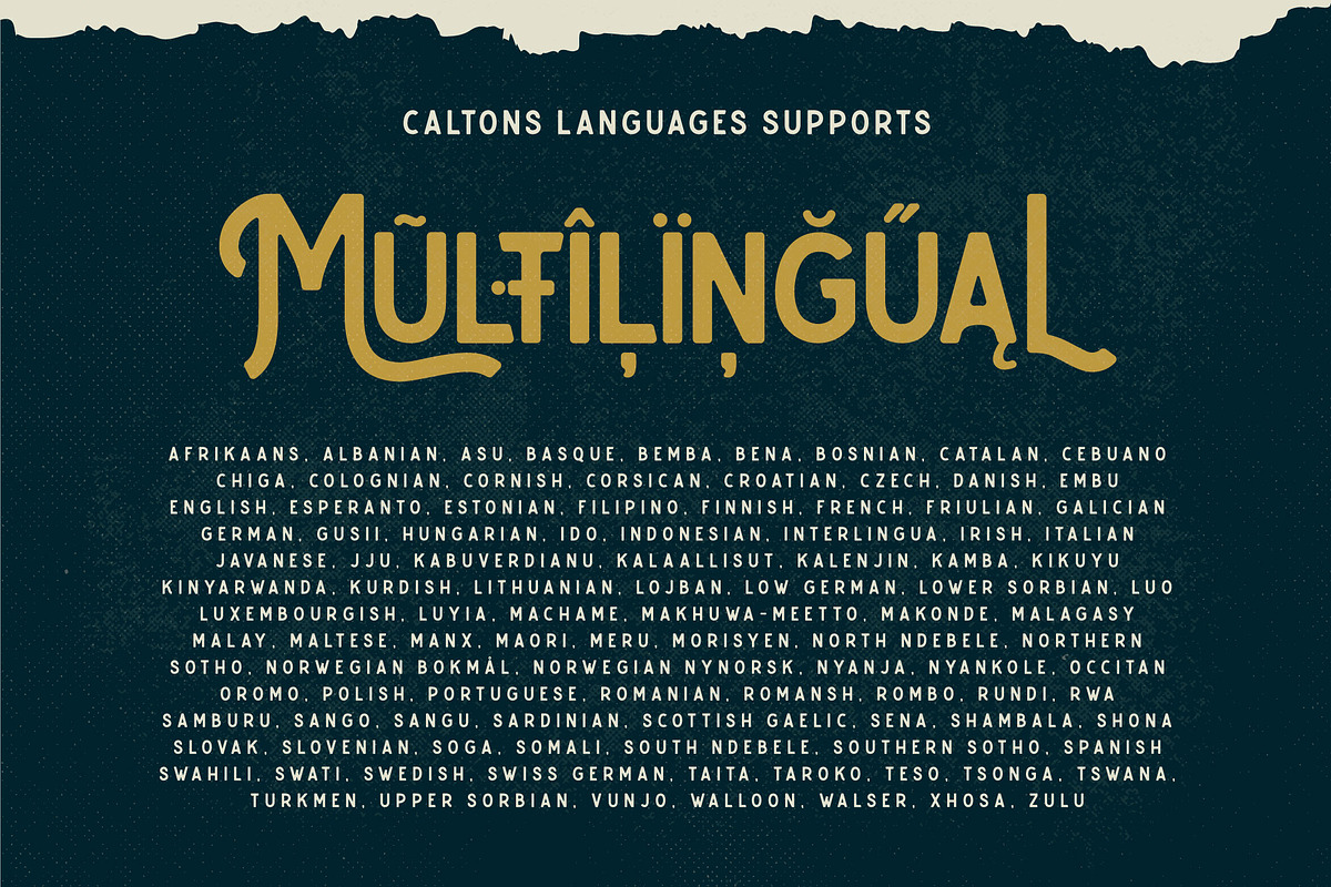Caltons Typeface, a Sans Serif Font by Wortfice (Photo 7 of 10)