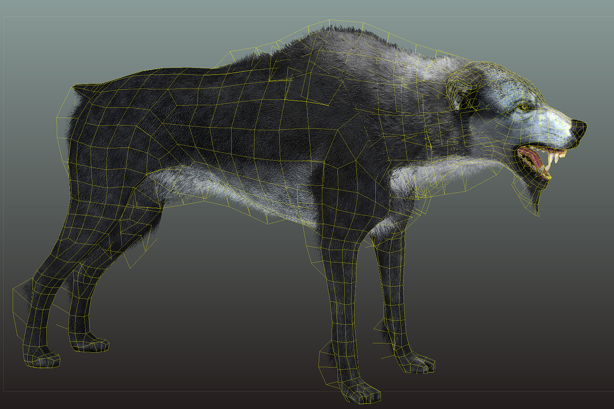 Wolf, an Animal 3D Model by Game-Ready Studio (Photo 3 of 5)