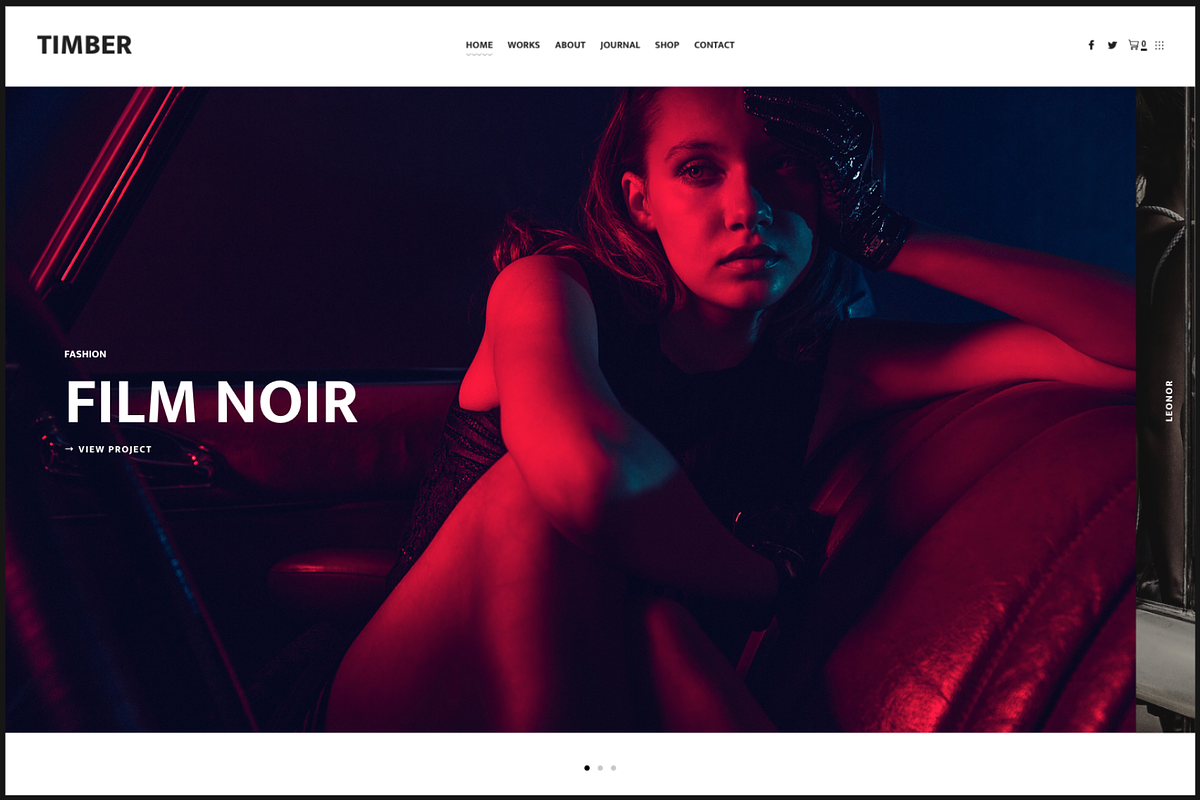 TIMBER - Unusual Photography Theme, a WordPress Template by Pixelgrade (Photo 1 of 5)