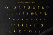Claritle Luxury Font, a Serif Font by Randi Irvan | Rvandtype (Thumbnail 5 of 11)