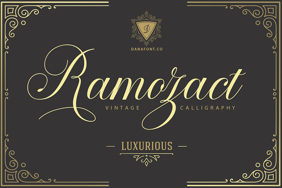 Ramozact Script preview 7