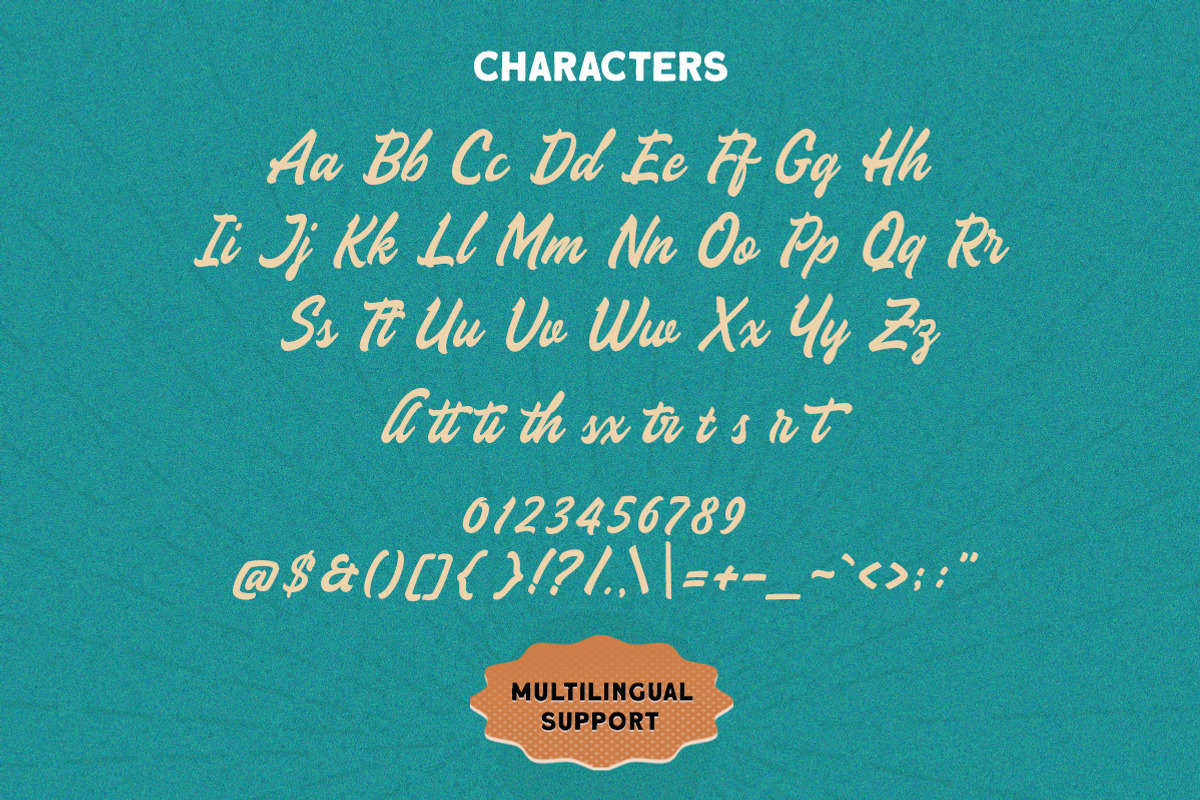 The Sign Paintoh - Bold Script, a Script Font by Letterhend Studio (Photo 8 of 9)