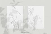 Minimalist Tulip Line Sketches, a Decorative Illustration by Galerie Design Studio (Thumbnail 7 of 7)