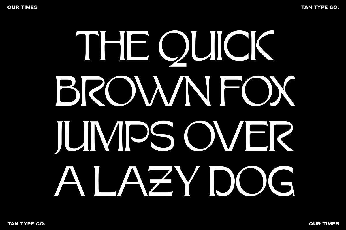 TAN - OUR TIMES, a Serif Font by TanType (Photo 11 of 13)