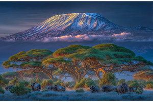 In Amboseli, Kenya, Mount, a Nature Photo by ZinetroN