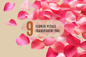 Flower petals transparent png, a Nature Photo by Shahjahangdb1