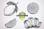 Lemons vector sketches, an Object Graphic by WalnutBird (Thumbnail 3 of 6)